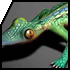 Labyrinth lizard